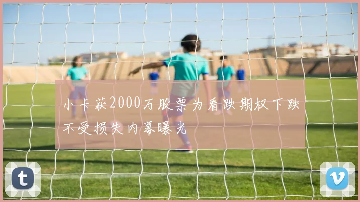 小卡获2000万股票为看跌期权下跌不受损失内幕曝光