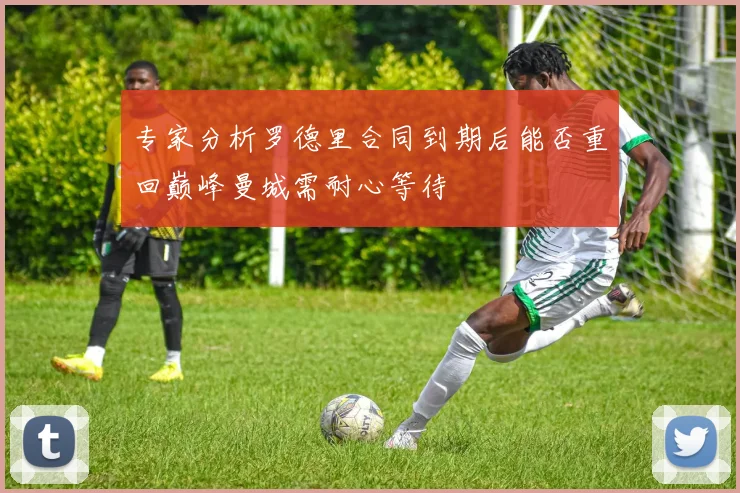 专家分析罗德里合同到期后能否重回巅峰曼城需耐心等待