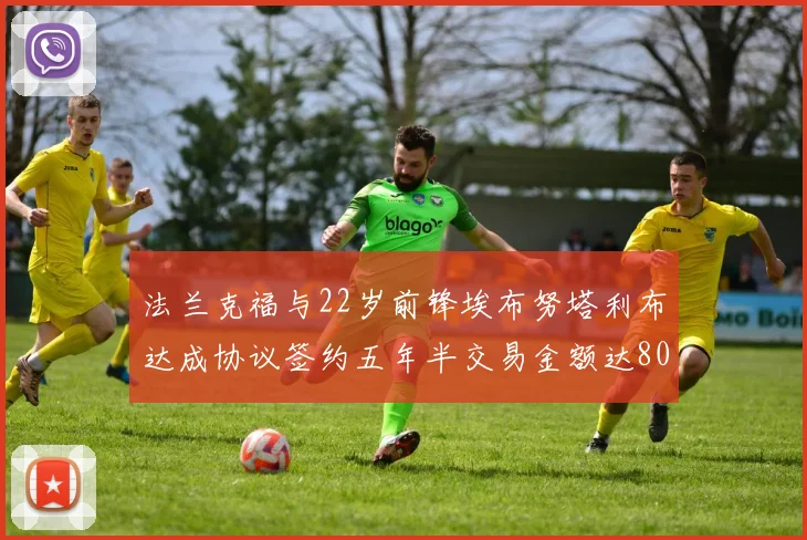 法兰克福与22岁前锋埃布努塔利布达成协议签约五年半交易金额达800万欧元